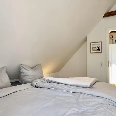 Friesenhus -