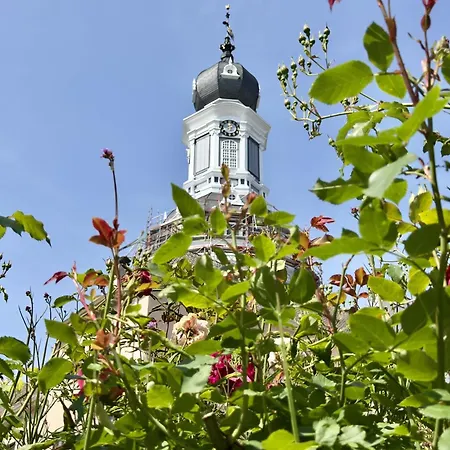 Ferienhaus Friesenhus -